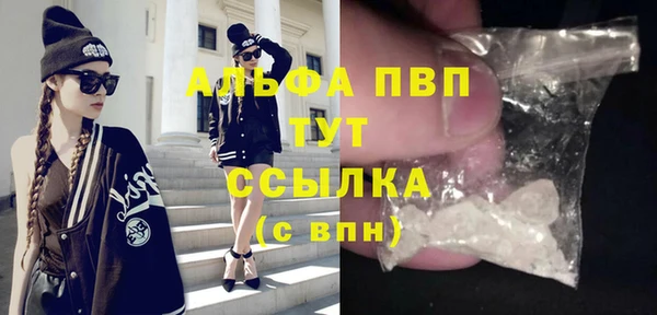 индика Горняк