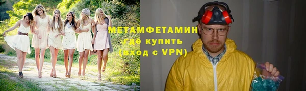 индика Горняк
