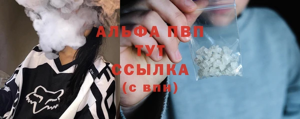 гашик Гусь-Хрустальный