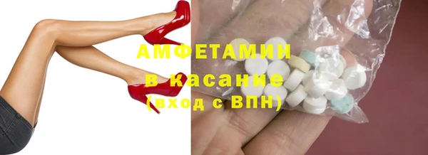 индика Горняк