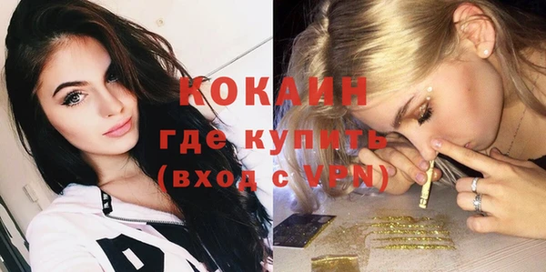 индика Горняк