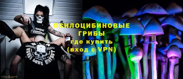 дмт Горно-Алтайск