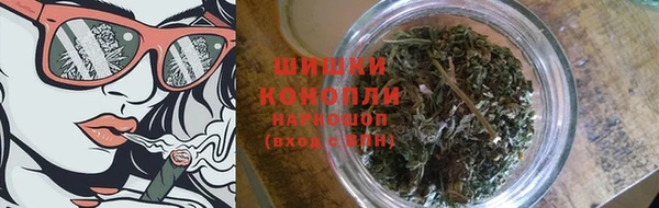 индика Горняк