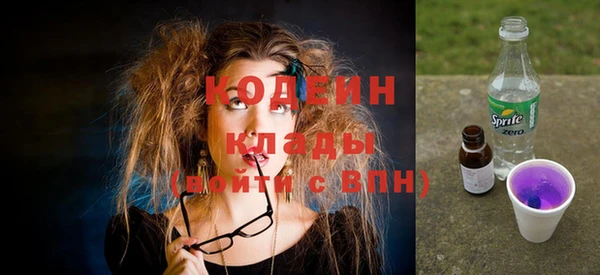 амф Гусев