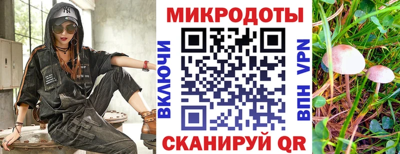 Псилоцибиновые грибы Cubensis  цены наркотик  kraken ссылки  Пестово 